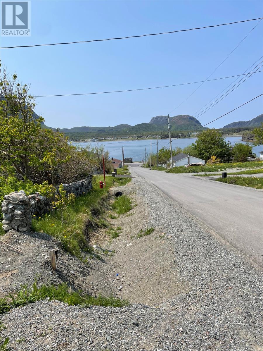 16 Park & Youden Road, Lark Hr., Newfoundland & Labrador  A0L 1H0 - Photo 13 - 1278968