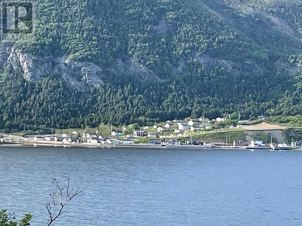 16 Park & Youden Road, Lark Hr., Newfoundland & Labrador  A0L 1H0 - Photo 23 - 1278968