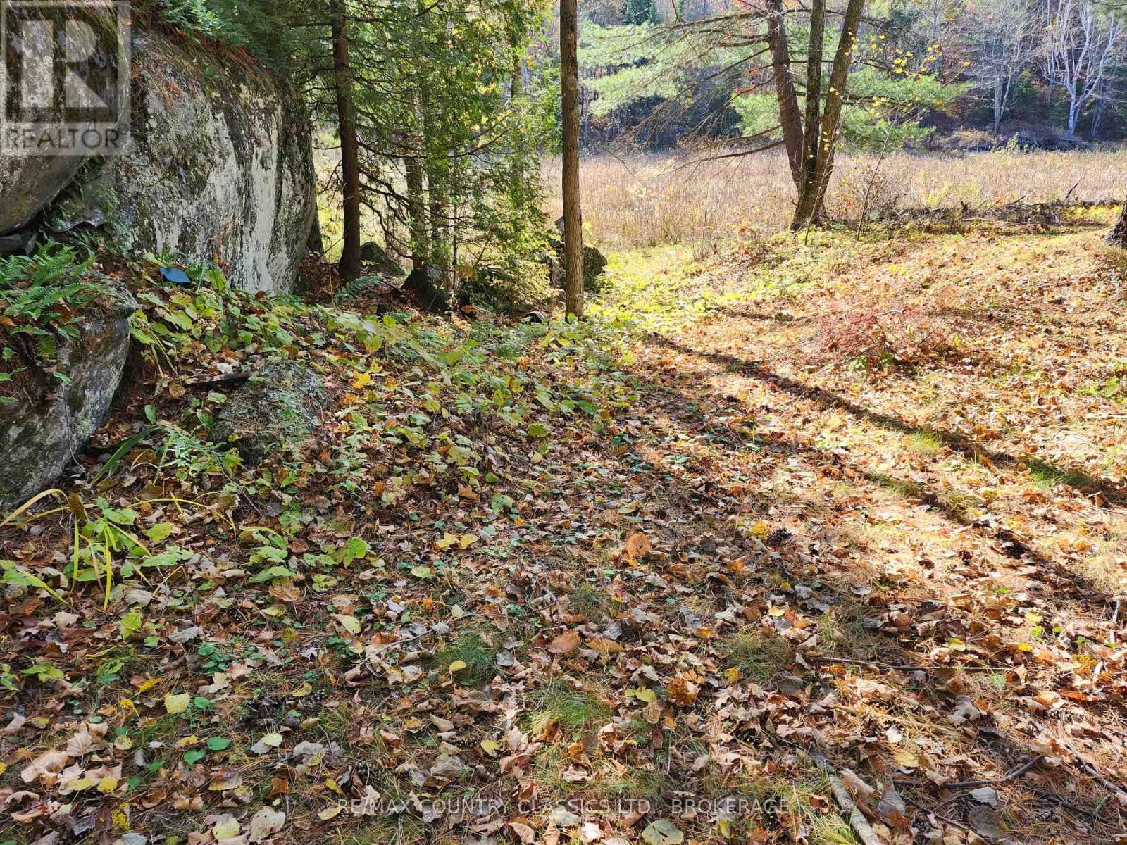 1116 Greer Road, North Frontenac (Frontenac North), Ontario  K0H 1J0 - Photo 22 - X10410996