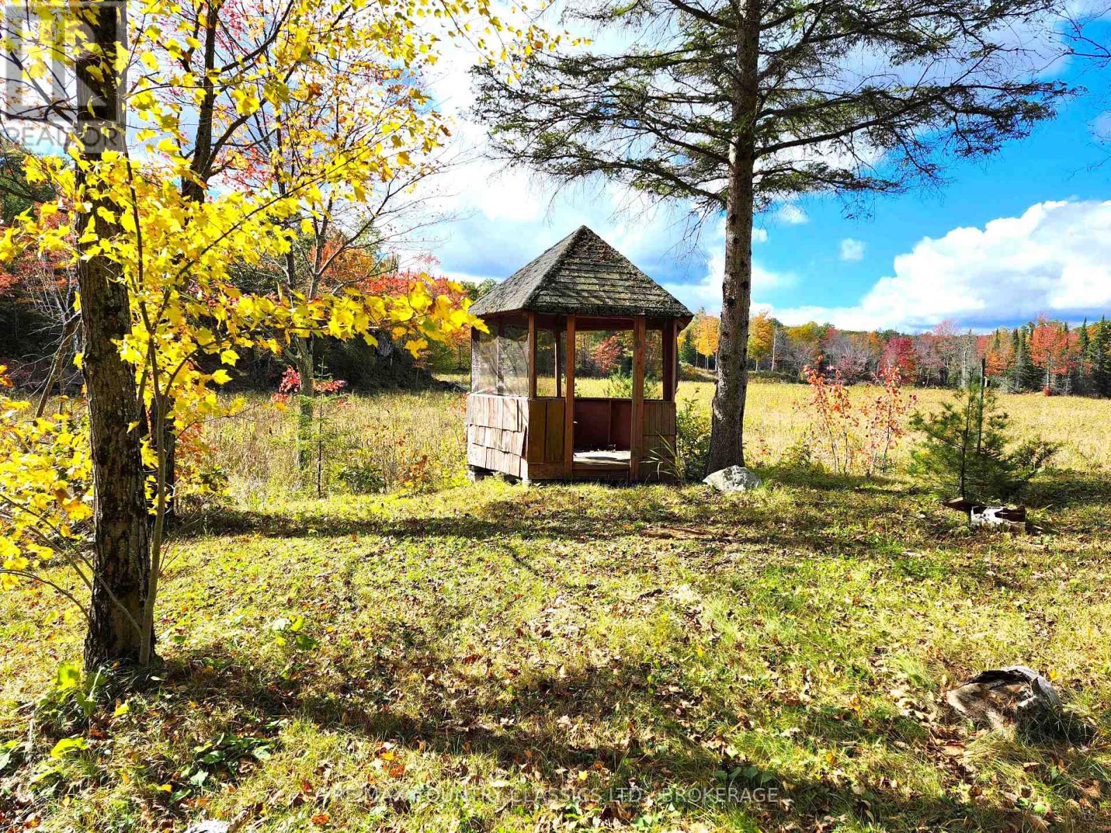 1116 Greer Road, North Frontenac (Frontenac North), Ontario  K0H 1J0 - Photo 4 - X10410996