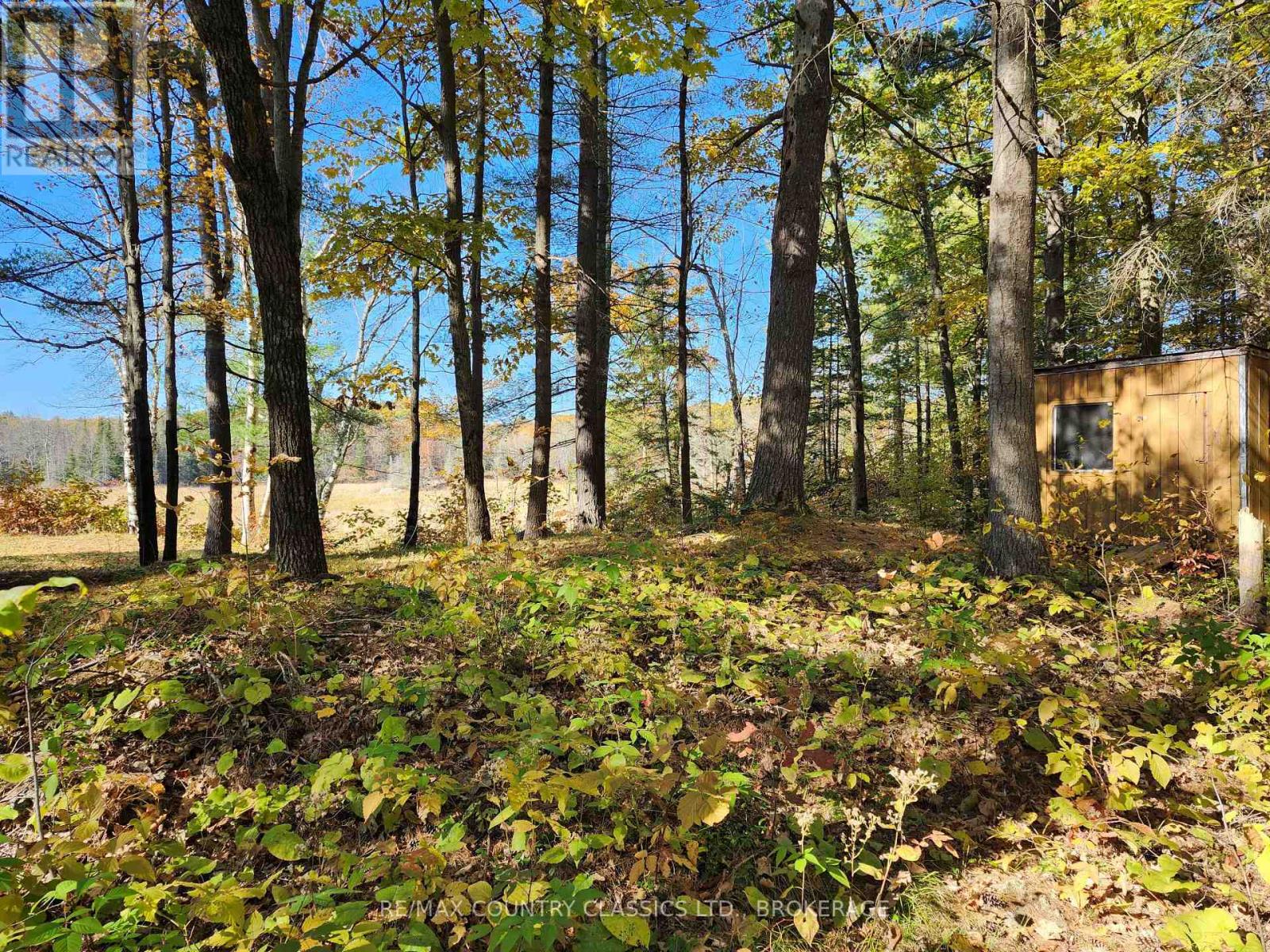 1116 Greer Road, North Frontenac (Frontenac North), Ontario  K0H 1J0 - Photo 6 - X10410996
