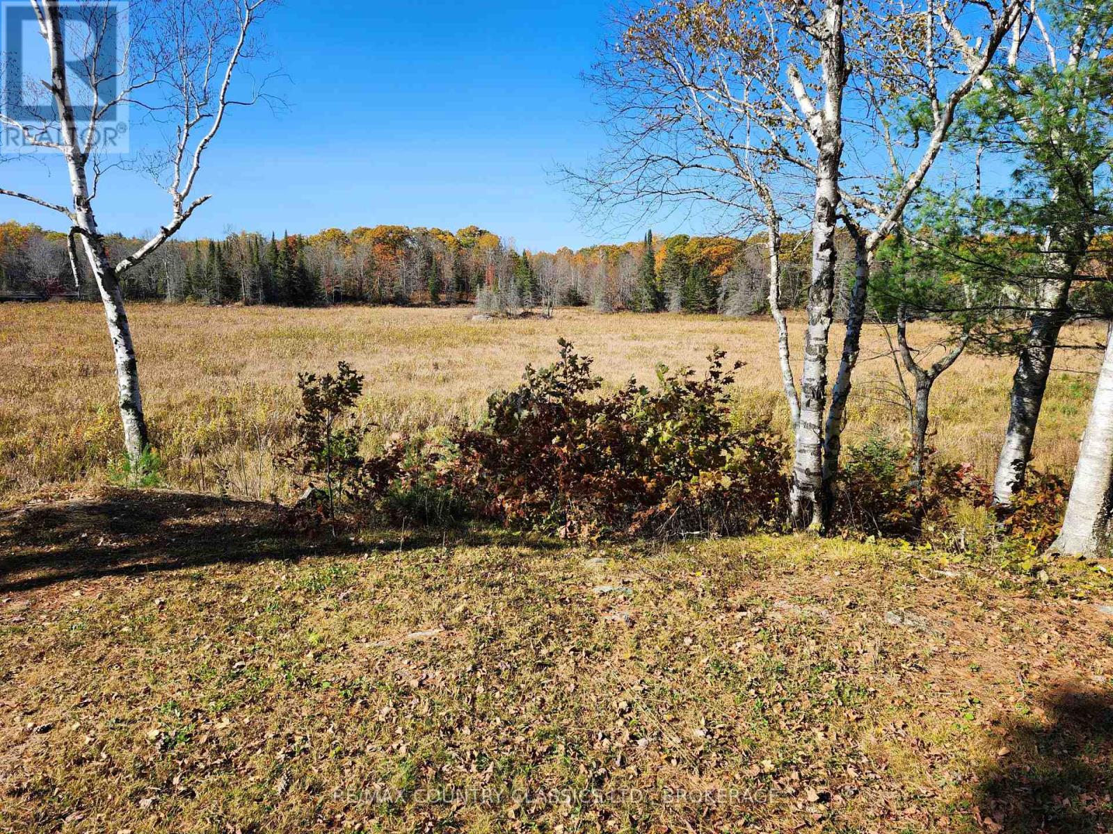 1116 Greer Road, North Frontenac (Frontenac North), Ontario  K0H 1J0 - Photo 7 - X10410996