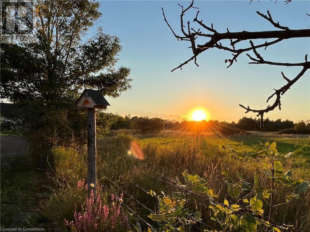 781 South Coast Drive, Peacock Point, Ontario  N0A 1L0 - Photo 5 - 40674635