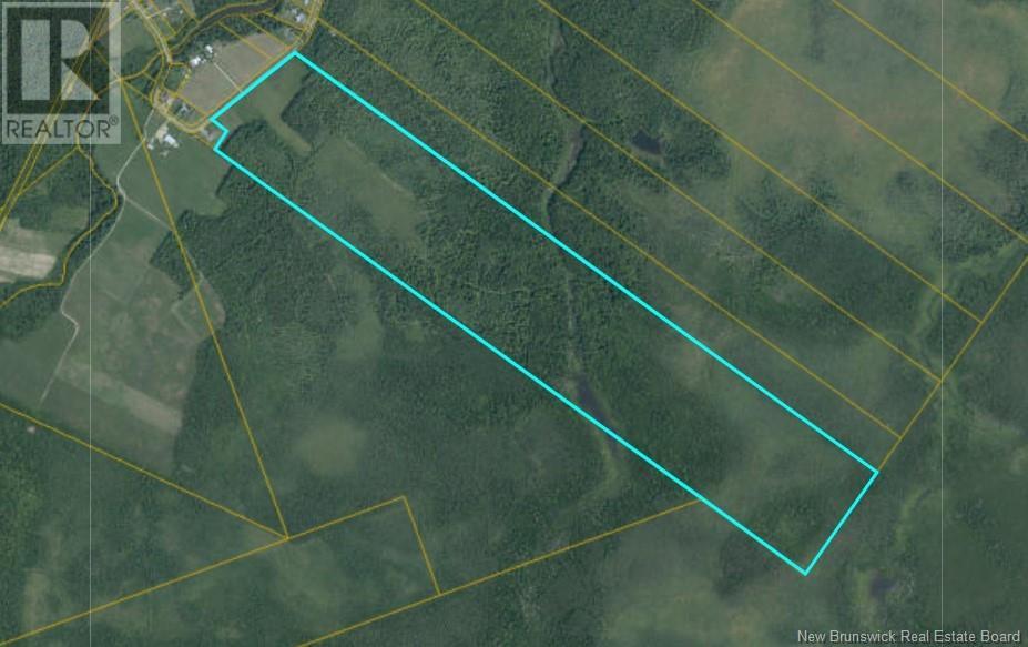Lot Little Branch Road, Black River Bridge, New Brunswick  E1N 5N4 - Photo 1 - NB105993