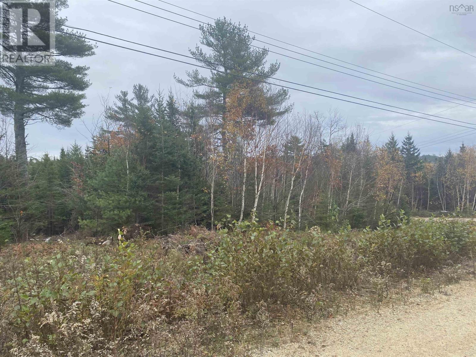 Lot 20 Noonan Lake Lane, Simms Settlement, Nova Scotia  B0J 1T0 - Photo 1 - 202426238