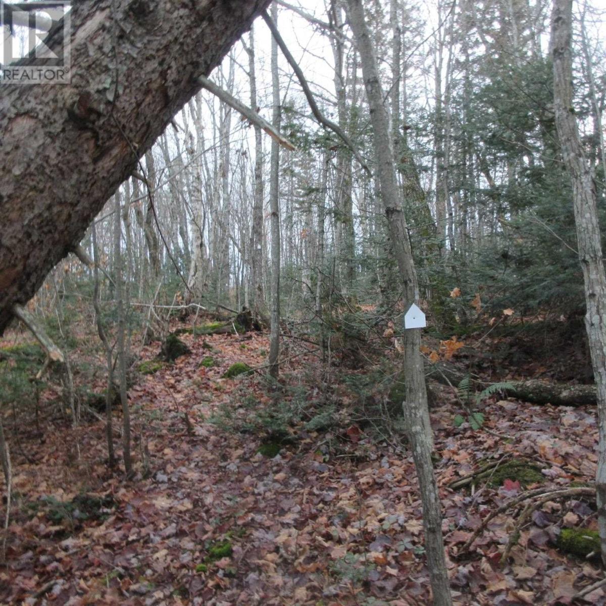 1513 Maki Rd, Sault Ste. Marie, Ontario  P6A 6K4 - Photo 20 - SM242804