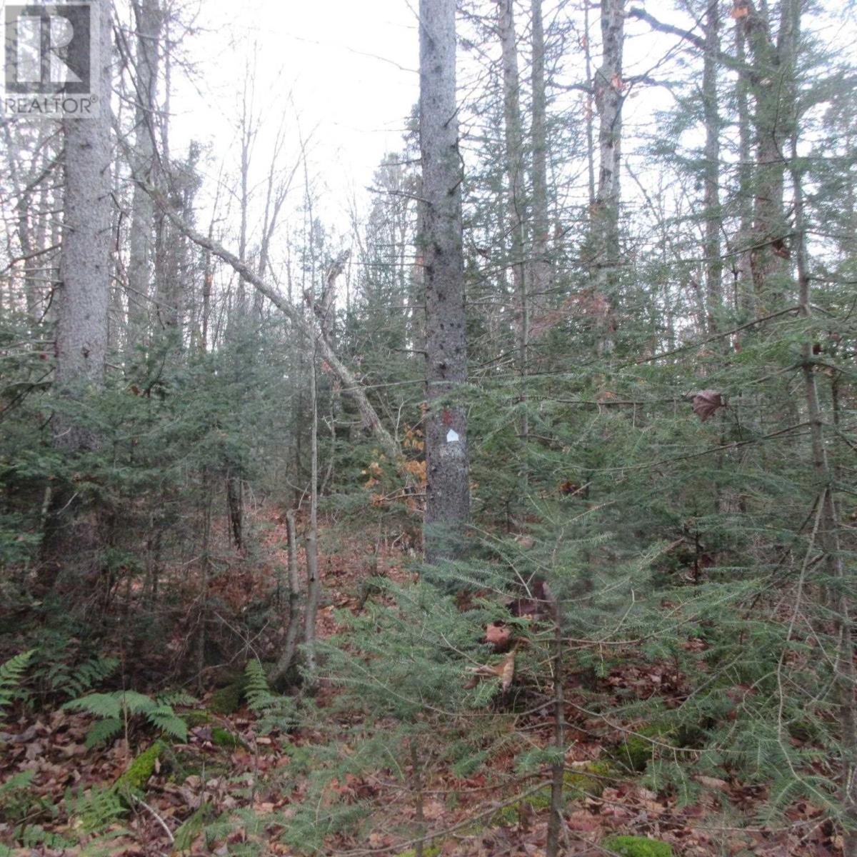 1513 Maki Rd, Sault Ste. Marie, Ontario  P6A 6K4 - Photo 21 - SM242804