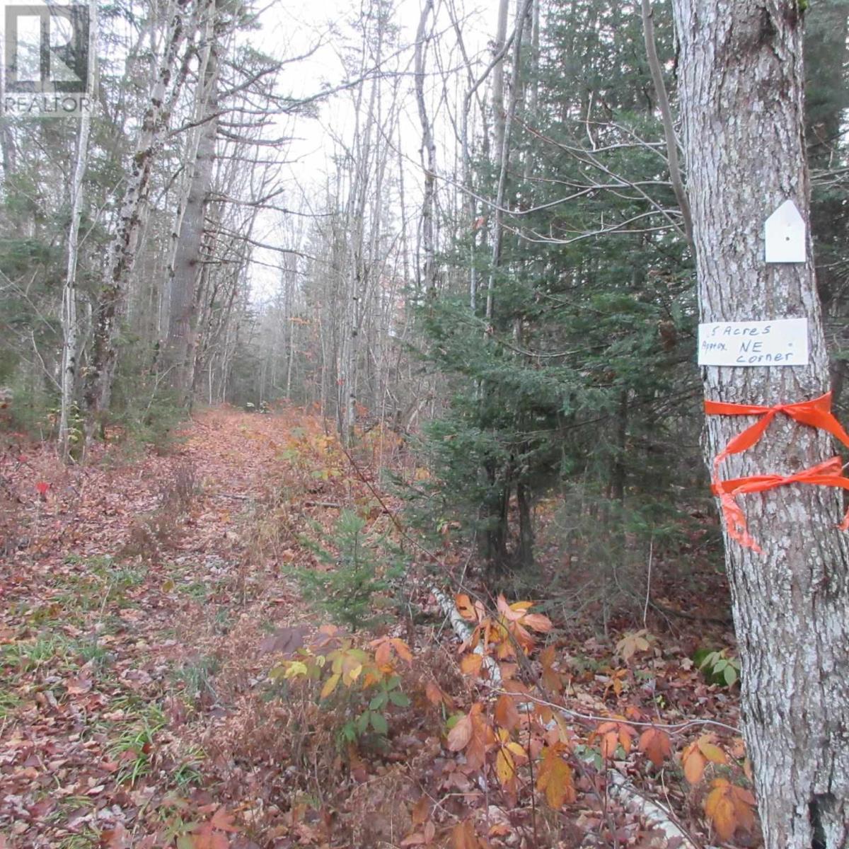 1513 Maki Rd, Sault Ste. Marie, Ontario  P6A 6K4 - Photo 7 - SM242804