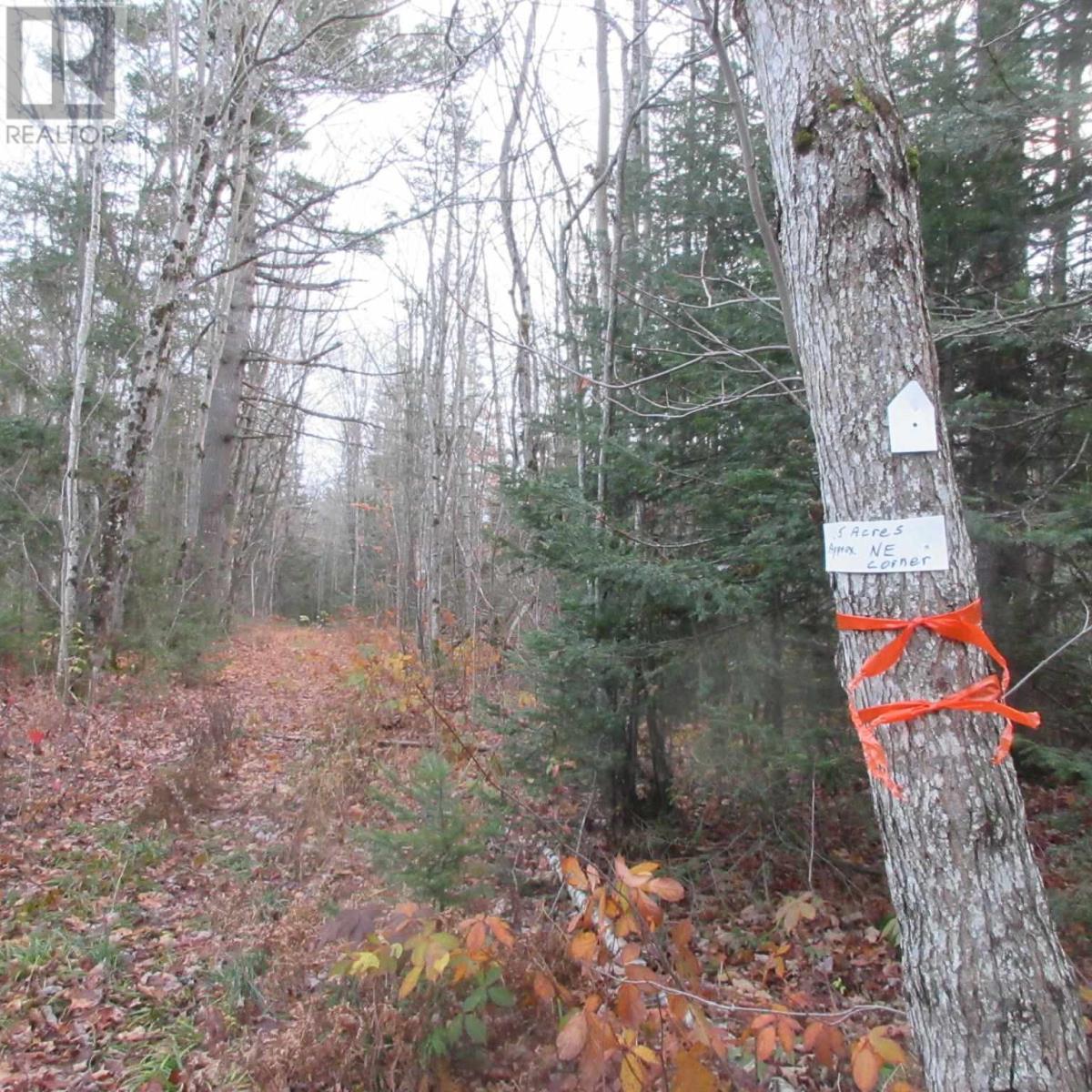 1513 Maki Rd, Sault Ste. Marie, Ontario  P6A 6K4 - Photo 8 - SM242804