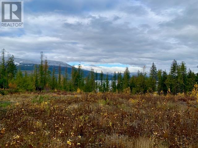 Lot A 23 Highway, Nakusp, British Columbia V0G 1R0 - Photo 9 - 10327777