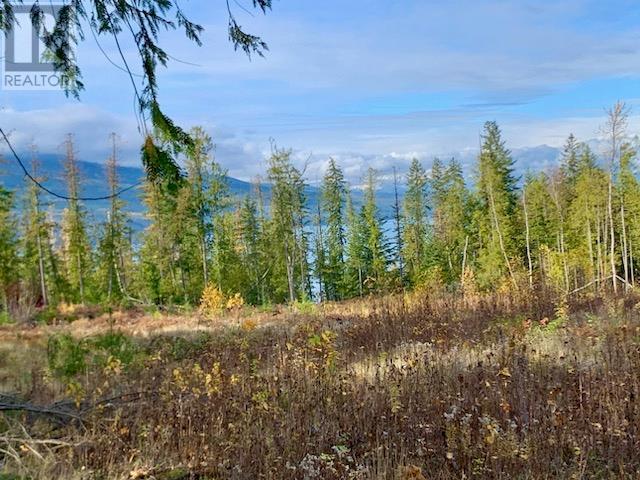 Lot A 23 Highway, Nakusp, British Columbia V0G 1R0 - Photo 2 - 10327777