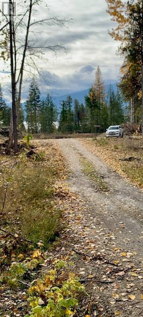 Lot A 23 Highway, Nakusp, British Columbia V0G 1R0 - Photo 5 - 10327777