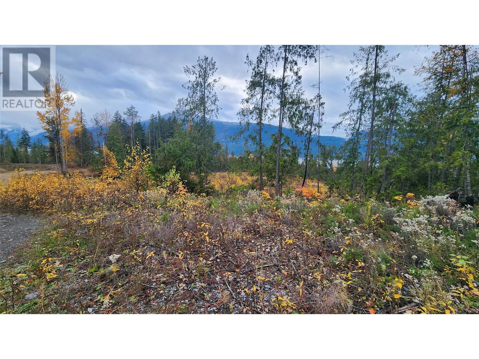 Lot A 23 Highway, Nakusp, British Columbia V0G 1R0 - Photo 7 - 10327777