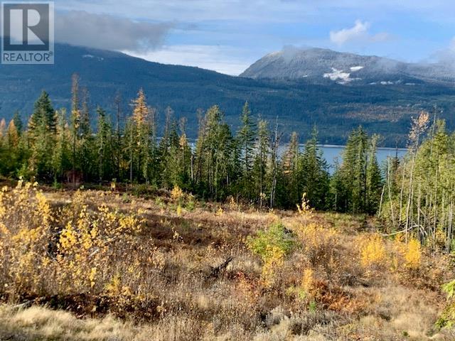 Lot A 23 Highway, Nakusp, British Columbia V0G 1R0 - Photo 4 - 10327777