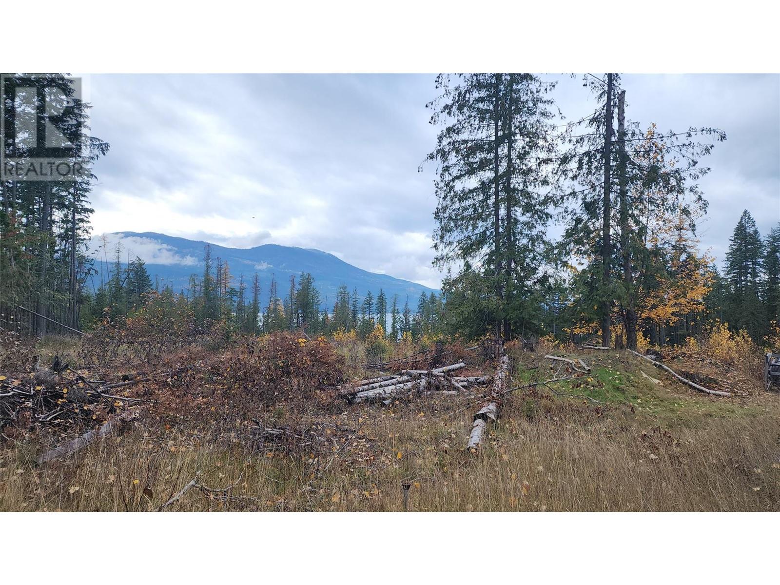 Lot A 23 Highway, Nakusp, British Columbia V0G 1R0 - Photo 8 - 10327777