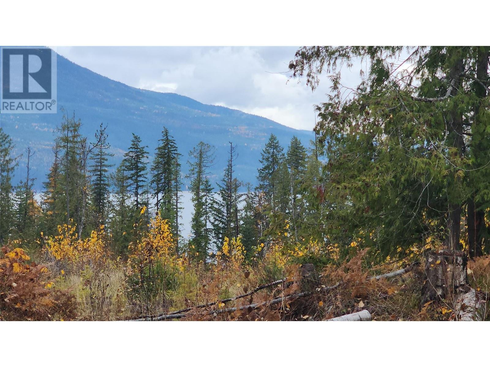 Lot A 23 Highway, Nakusp, British Columbia V0G 1R0 - Photo 6 - 10327777