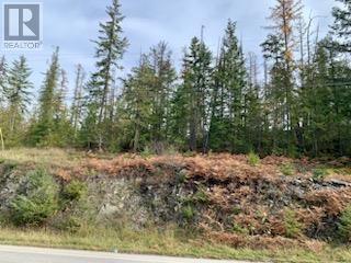 Lot A 23 Highway, Nakusp, British Columbia V0G 1R0 - Photo 19 - 10327777