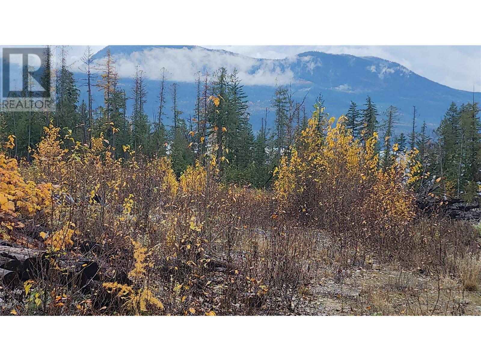 Lot A 23 Highway, Nakusp, British Columbia V0G 1R0 - Photo 12 - 10327777