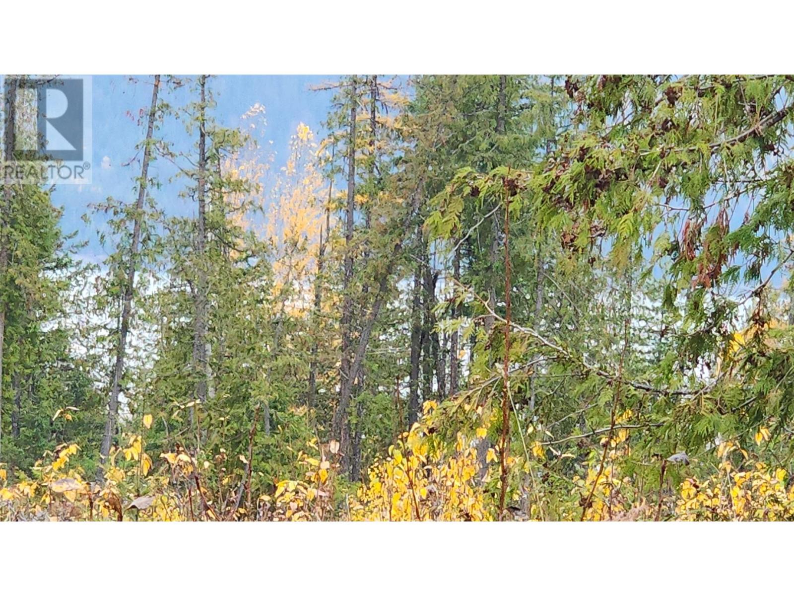 Lot A 23 Highway, Nakusp, British Columbia V0G 1R0 - Photo 15 - 10327777