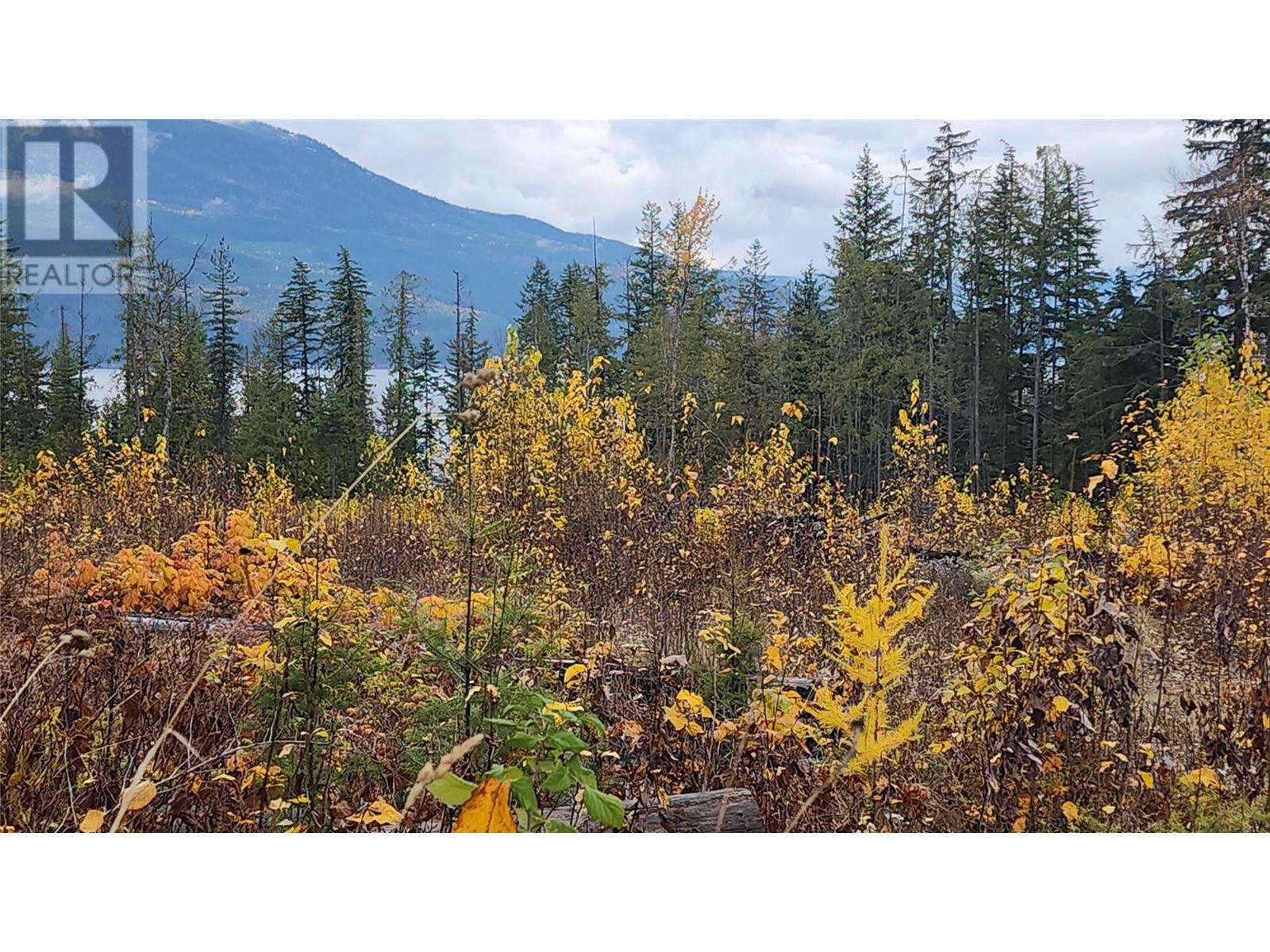 Lot A 23 Highway, Nakusp, British Columbia V0G 1R0 - Photo 13 - 10327777