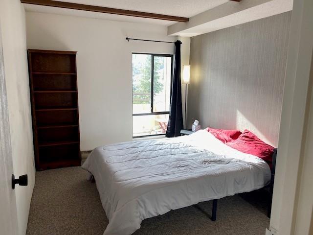 303b 21000 Enzian Way, Agassiz, British Columbia V0M 1A1 - Photo 12 - R2940162