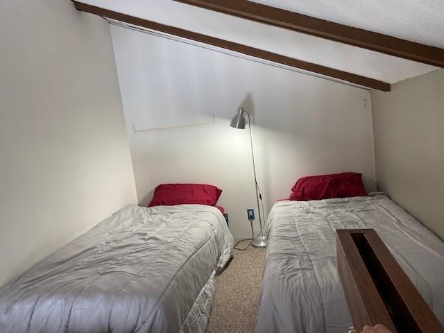 303b 21000 Enzian Way, Agassiz, British Columbia V0M 1A1 - Photo 6 - R2940162