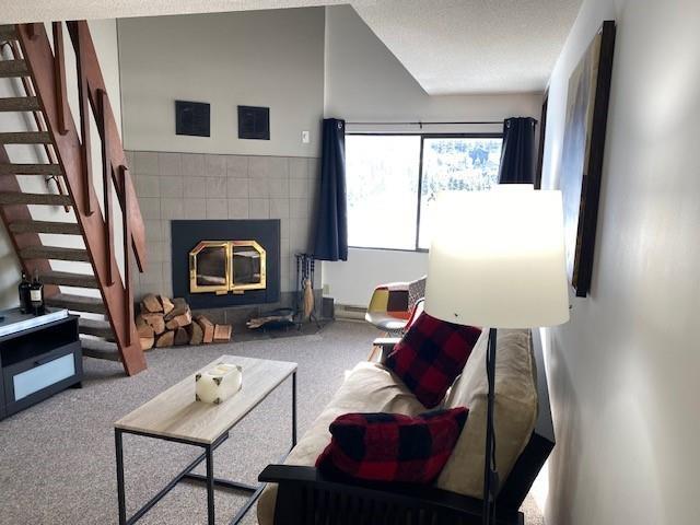 303b 21000 Enzian Way, Agassiz, British Columbia V0M 1A1 - Photo 10 - R2940162