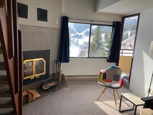 303b 21000 Enzian Way, Agassiz, British Columbia V0M 1A1 - Photo 8 - R2940162