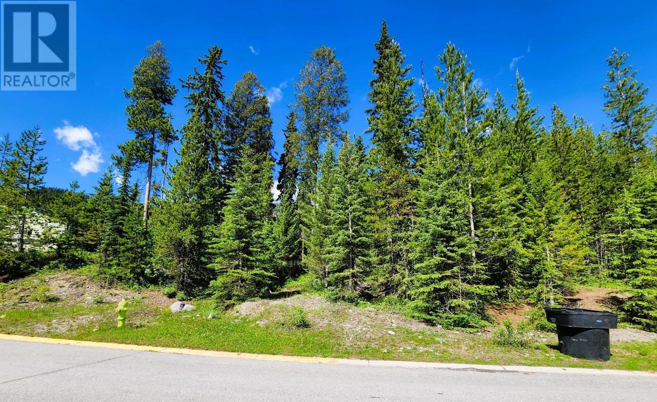 32 DOUGLAS Crescent, elkford, British Columbia