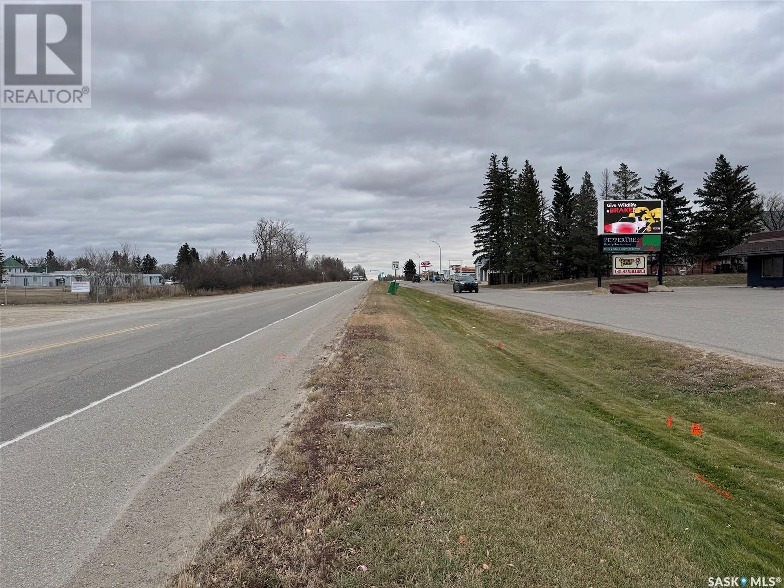 610 Greer Street, Wynyard, Saskatchewan  S0K 4T0 - Photo 7 - SK987630