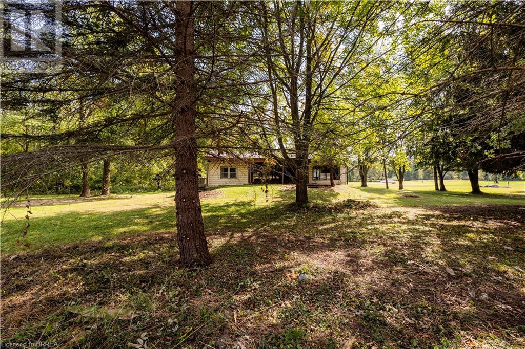 31 7th Conc Road, Burford, Ontario  N0E 1A0 - Photo 3 - 40648173