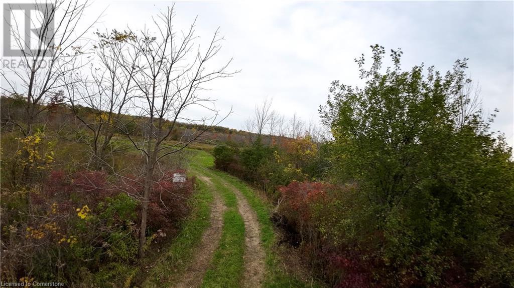 601 York Road, Dundas, Ontario  L9H 6A1 - Photo 20 - 40671185