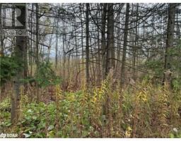 0 TAYLORWOODS Boulevard, Innisfil, Ontario