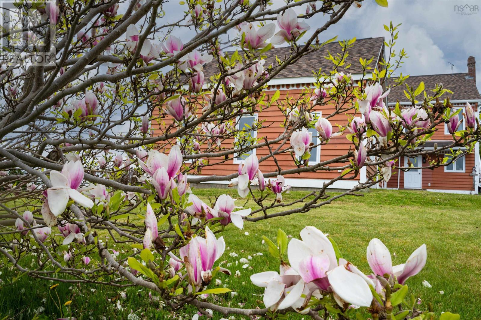 25245 Highway 7, Port Dufferin, Nova Scotia  B0J 2R0 - Photo 43 - 202412929