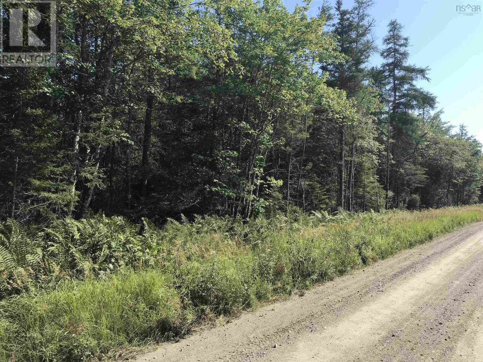 0 Jones Harbour Road, East Sable River, Nova Scotia  B0T 1V0 - Photo 18 - 202419274