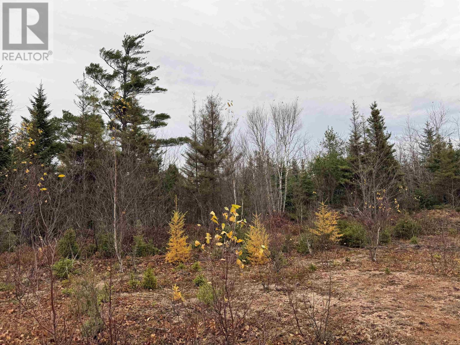 Acreage RTE 25|Carr Property, west covehead, Prince Edward Island