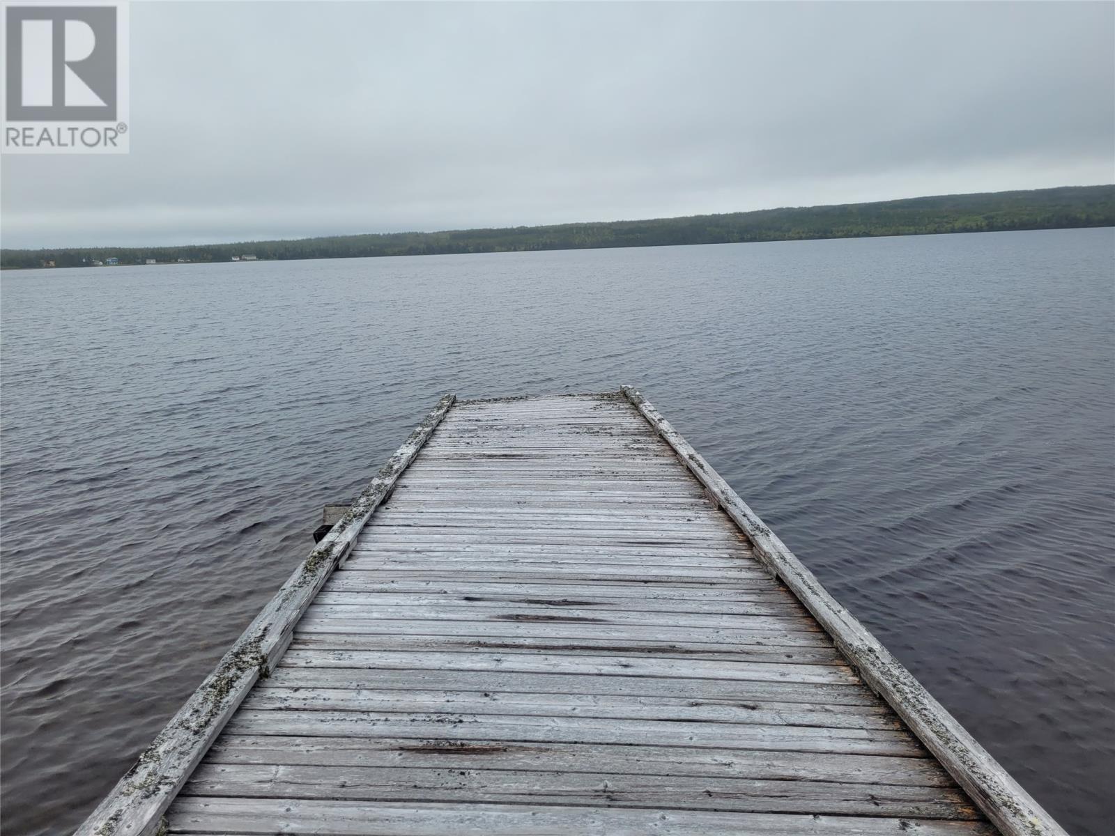 00 Joe Glode Pond, Millertown Junction, Newfoundland & Labrador  A0H 1A0 - Photo 50 - 1279490