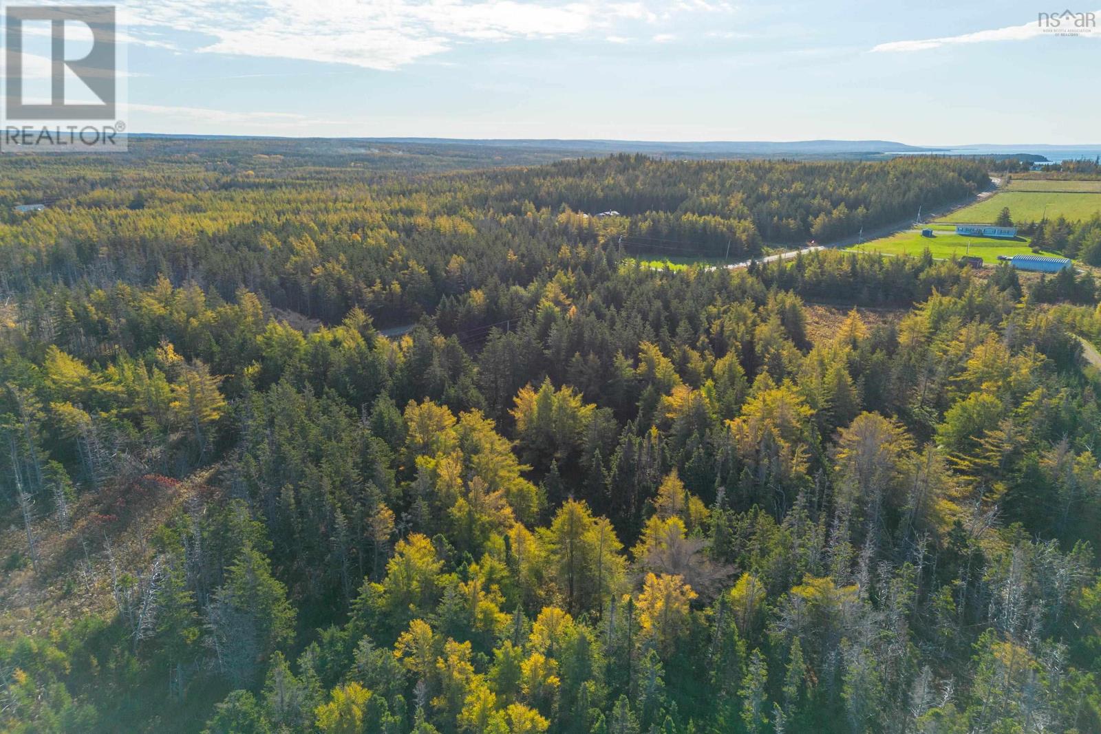 Lot 4b Lower Shore Road, Little Judique, Nova Scotia  B0E 1P0 - Photo 21 - 202426345