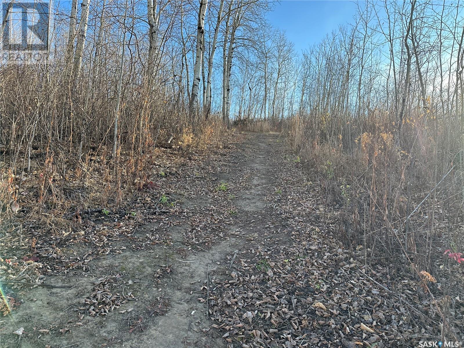 Memorial Hill Acreage, Spiritwood Rm No. 496, Saskatchewan  S0J 2G0 - Photo 18 - SK987858