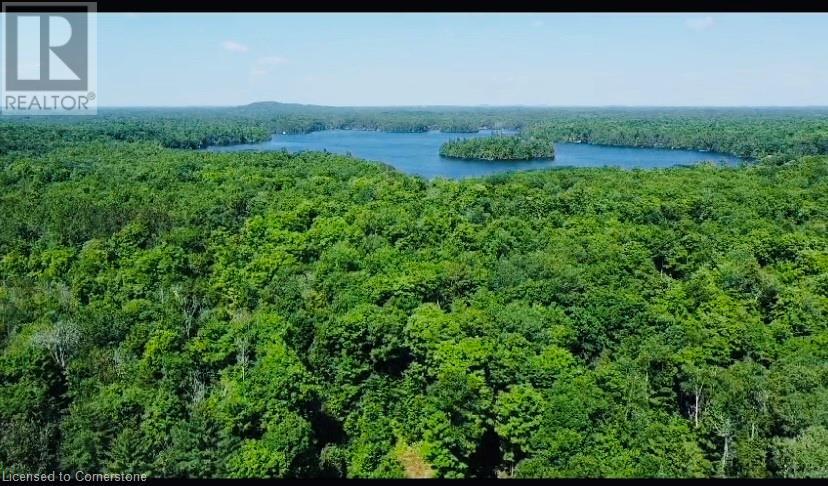 106 Boundary Lane, Kinmount, Ontario  K0M 2A0 - Photo 39 - 40675595