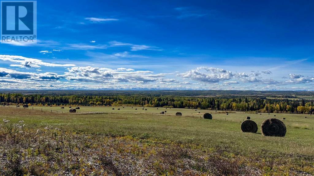 31479 Range Road 52, Rural Mountain View County, Alberta  T0M 1X0 - Photo 3 - A2170531