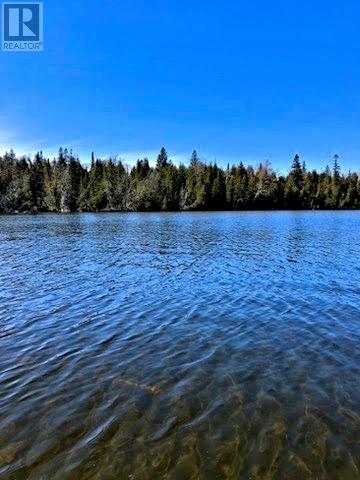 Pl12c6 Loon Lake Landing, Meldrum Bay, Ontario  P0P 1R0 - Photo 6 - 2119517
