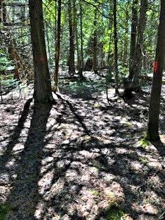 Pl12c6 Loon Lake Landing, Meldrum Bay, Ontario  P0P 1R0 - Photo 7 - 2119517