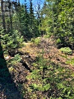 Pl12c6 Loon Lake Landing, Meldrum Bay, Ontario  P0P 1R0 - Photo 8 - 2119517