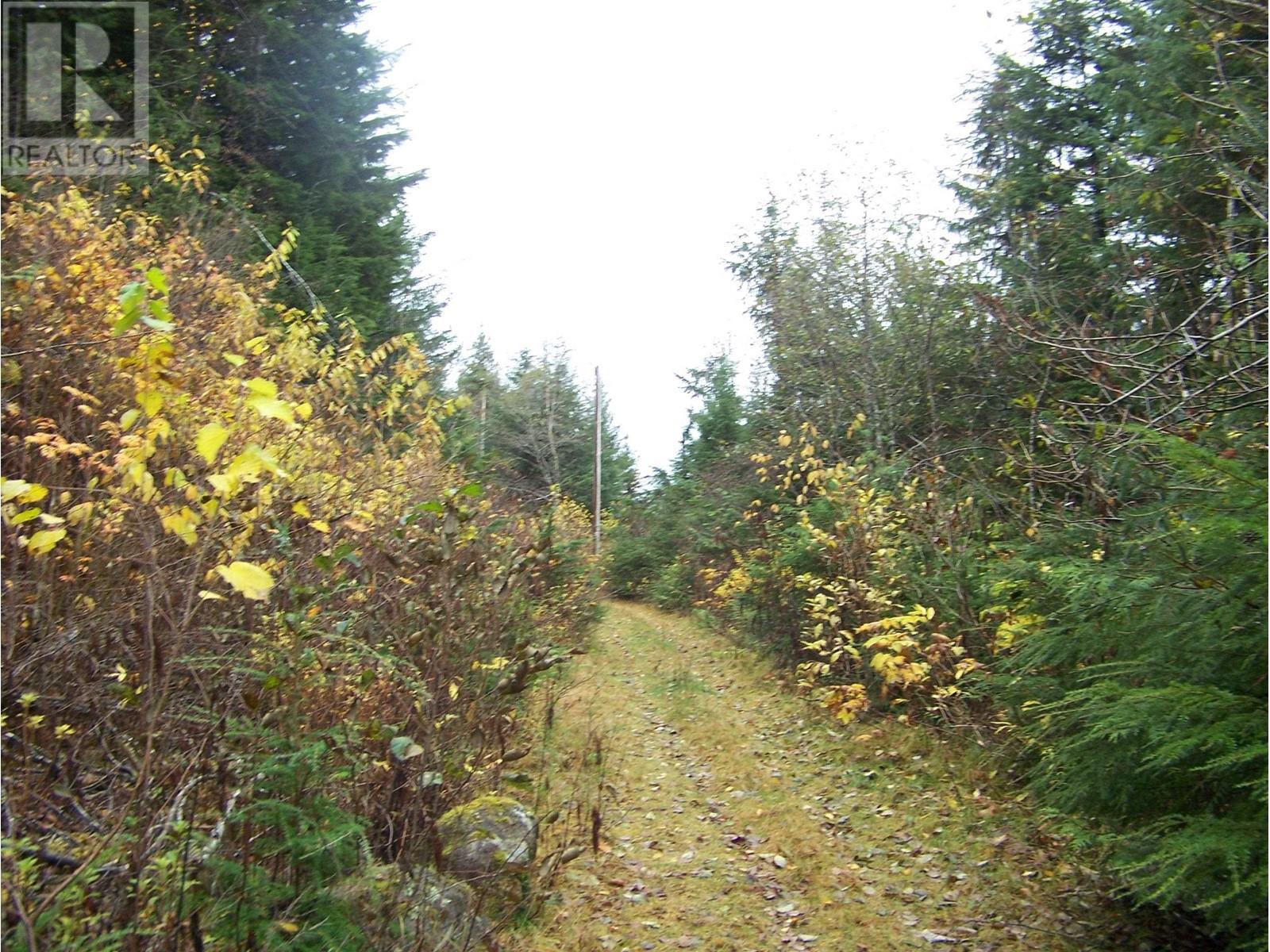 Dl 126 Mackenzie 20 Highway, Bella Coola, British Columbia  V0T 1C0 - Photo 2 - R2943003