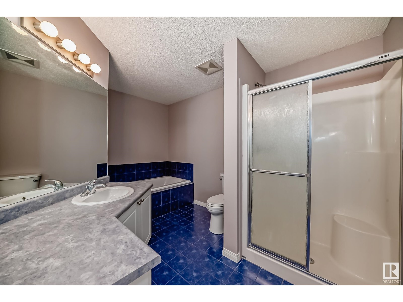 12216 16 Av Sw, Edmonton, Alberta  T6W 1L7 - Photo 22 - E4413294