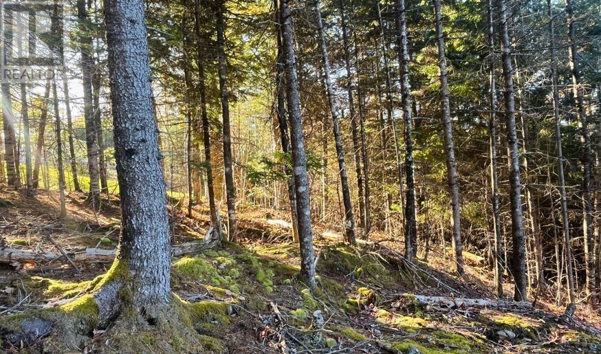 Lot 109 Blue Jay Way, Vaughan, Nova Scotia  B0N 2T0 - Photo 6 - 202426331