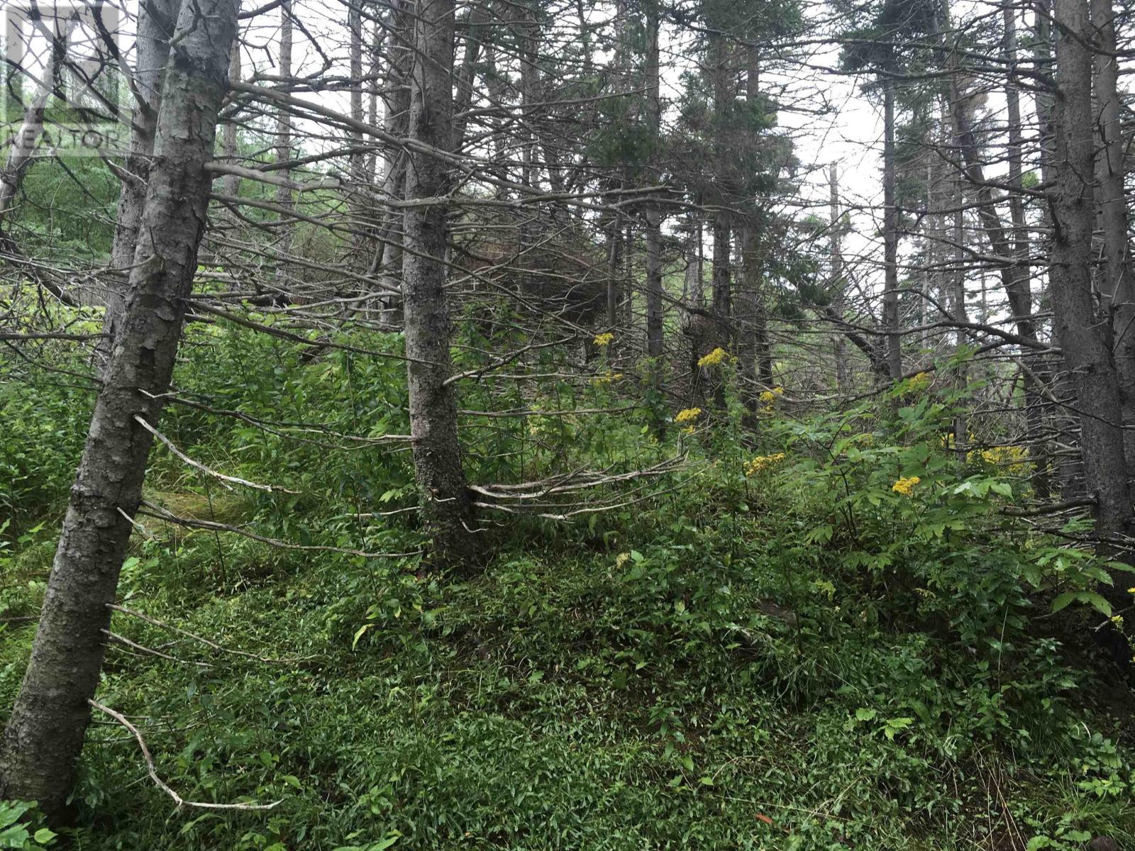 Lorem Ipsum Dolor, Pleasant Bay, Nova Scotia  B0E  - Photo 10 - DEMO26278218