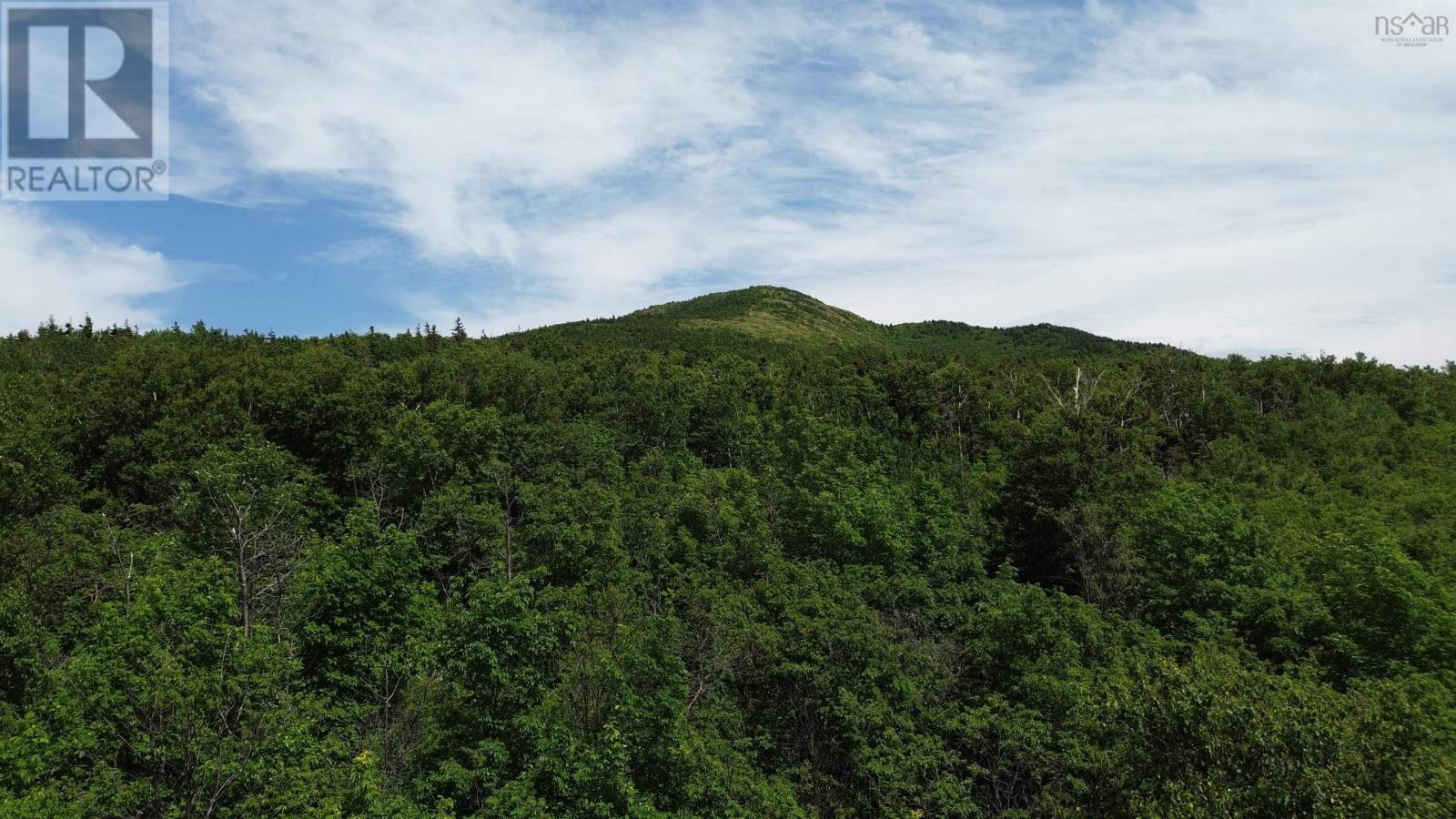 Lorem Ipsum Dolor, Pleasant Bay, Nova Scotia  B0E  - Photo 7 - DEMO26278218