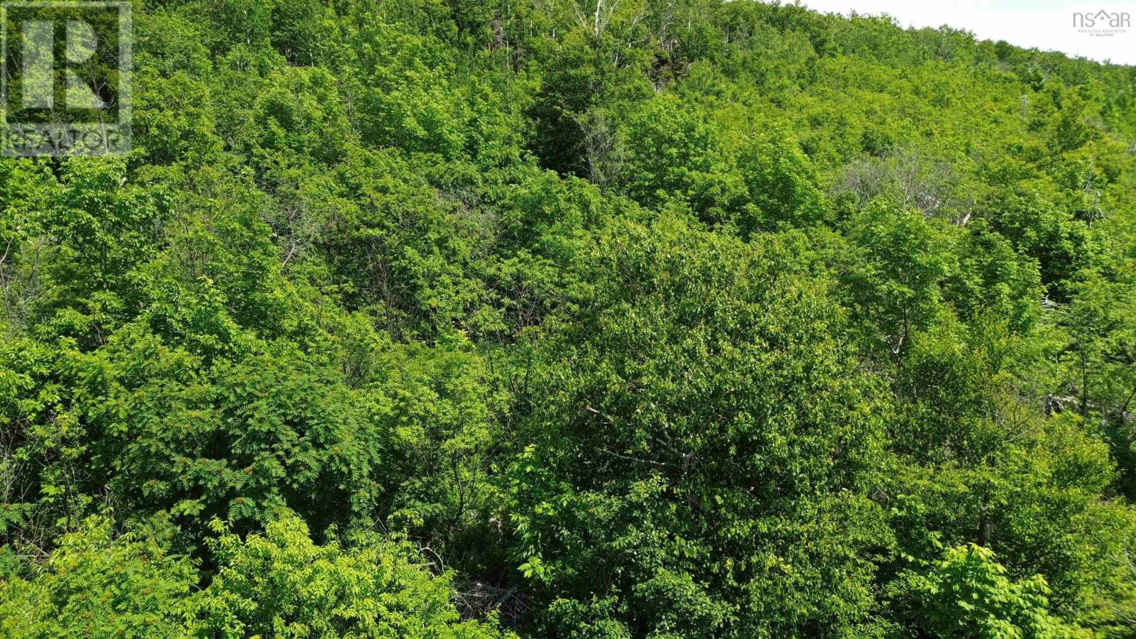 Lorem Ipsum Dolor, Pleasant Bay, Nova Scotia  B0E  - Photo 8 - DEMO26278218